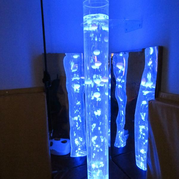 Special child center